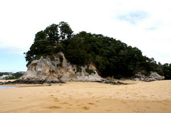 tasman plage